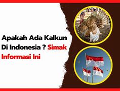 Apakah Ada Lotre Di Indonesia