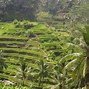 Video Atas Bulan Estetik Di Bali